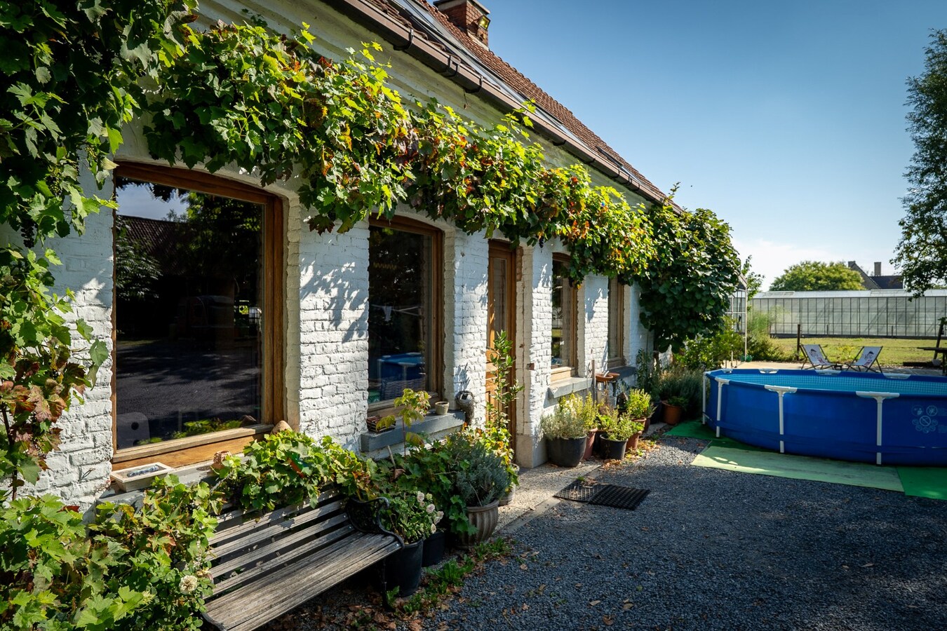 Charmante hoeve met weiland op 4.029 m² 