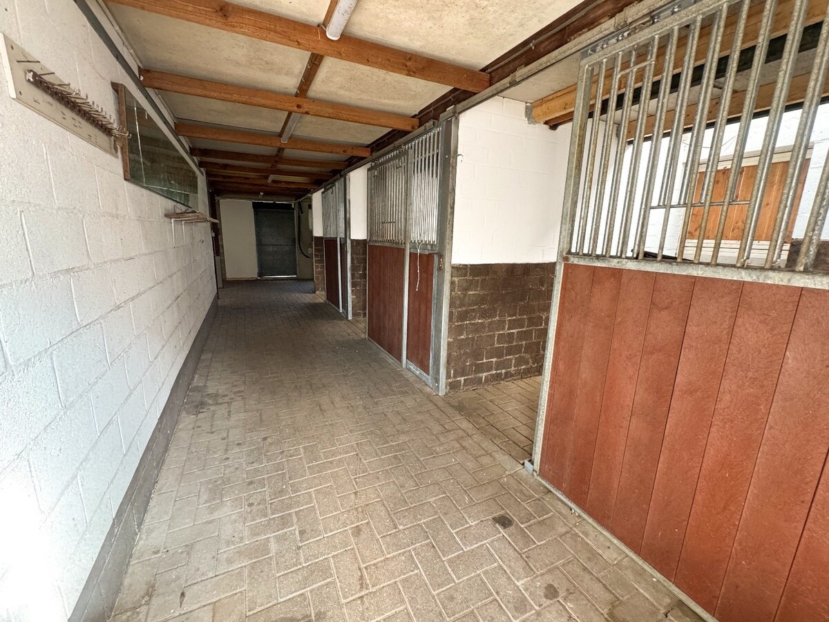 Ruime woning met paardenstallen op ca. 85 are te Kinrooi 