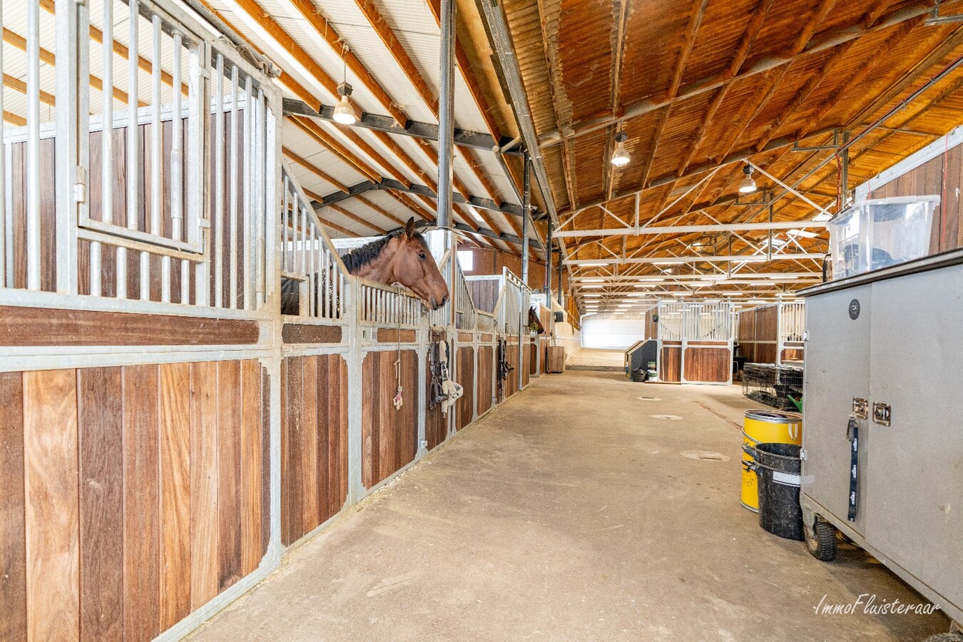 Complete paardenaccommodatie met studio op ca. 1,1ha te Bree 