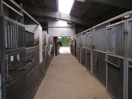 Splendide propriété avec piste couverte et boxes sur environ 1,3ha 