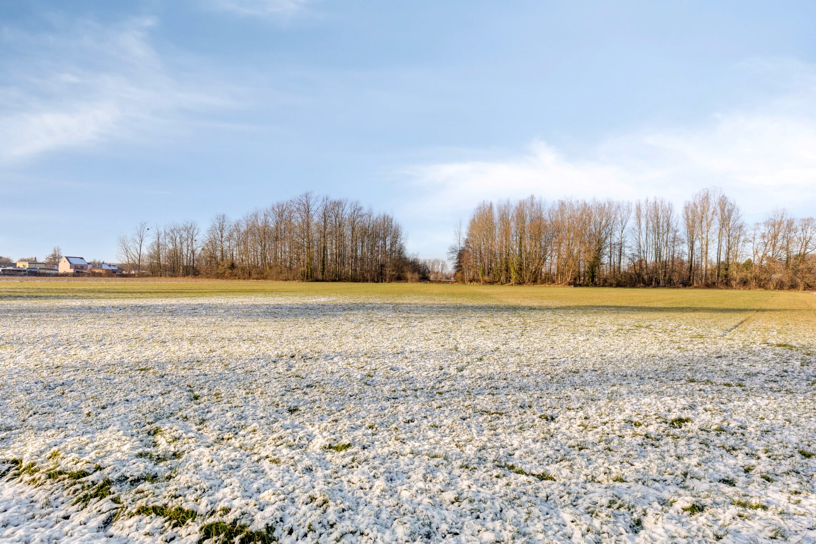 Landbouwgrond vrij van pacht in Wilsele op een perceel van 2ha 03a 20ca 