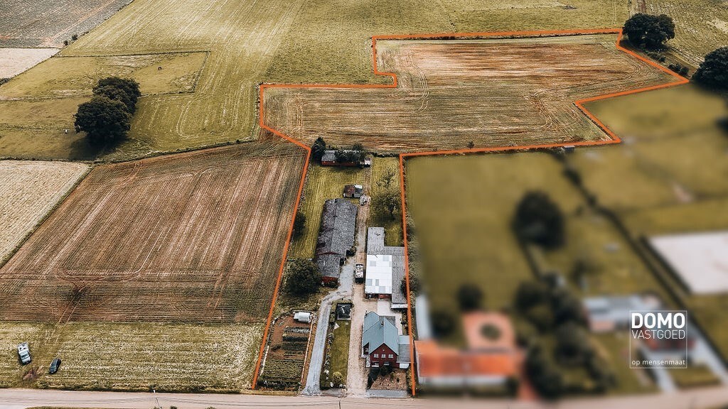 Ruime boerderij met stallingen en een prachtig groen uitzicht. 