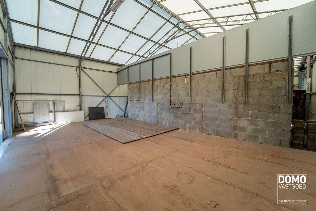 Ruime villa met paardenaccommodatie en wedstrijdstal gelegen te Herk-de-Stad - EPC-label: B - Bewoonbare vloeroppervlakte: 296m² 