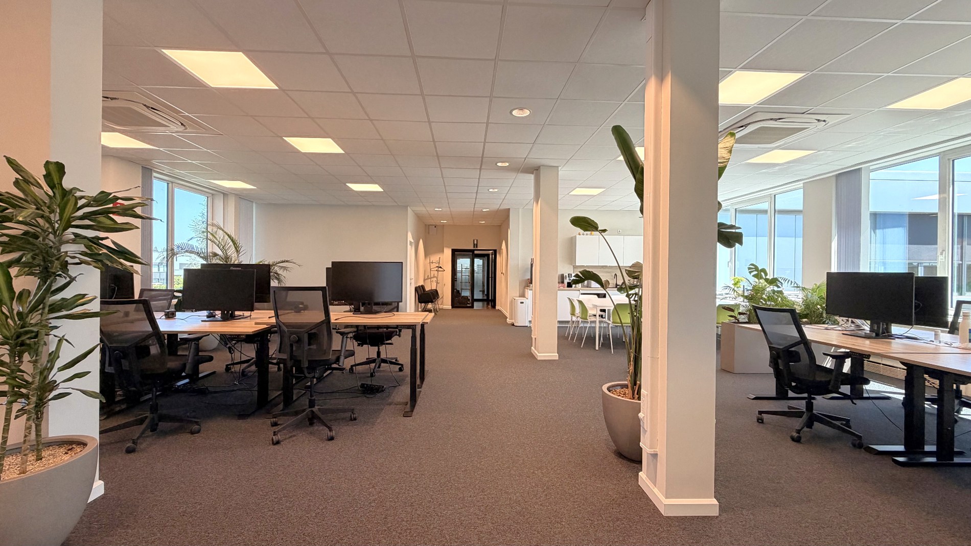 Instapklare kantoren te huur vlakbij N16 in Bornem