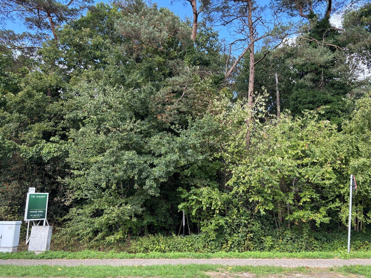 Bouwgrond voor open bebouwing – 1.533 m² in groene omgeving nabij centrum Sint-Antonius 