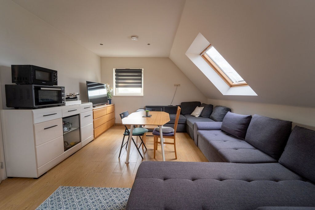 RUIME OPBRENGSTENEIGENDOM MET WOONST TE SPALBEEK (HASSELT) 
