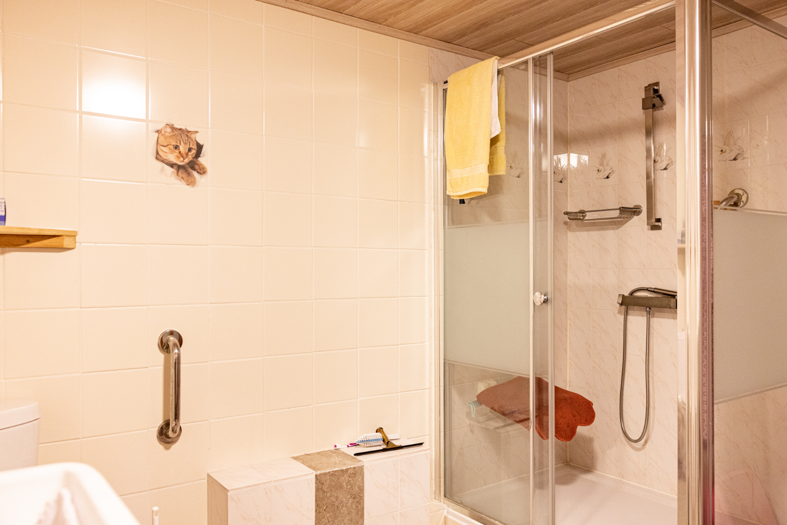 Gerenoveerde woning met 3 slpks, tuin en zicht op de weilanden 