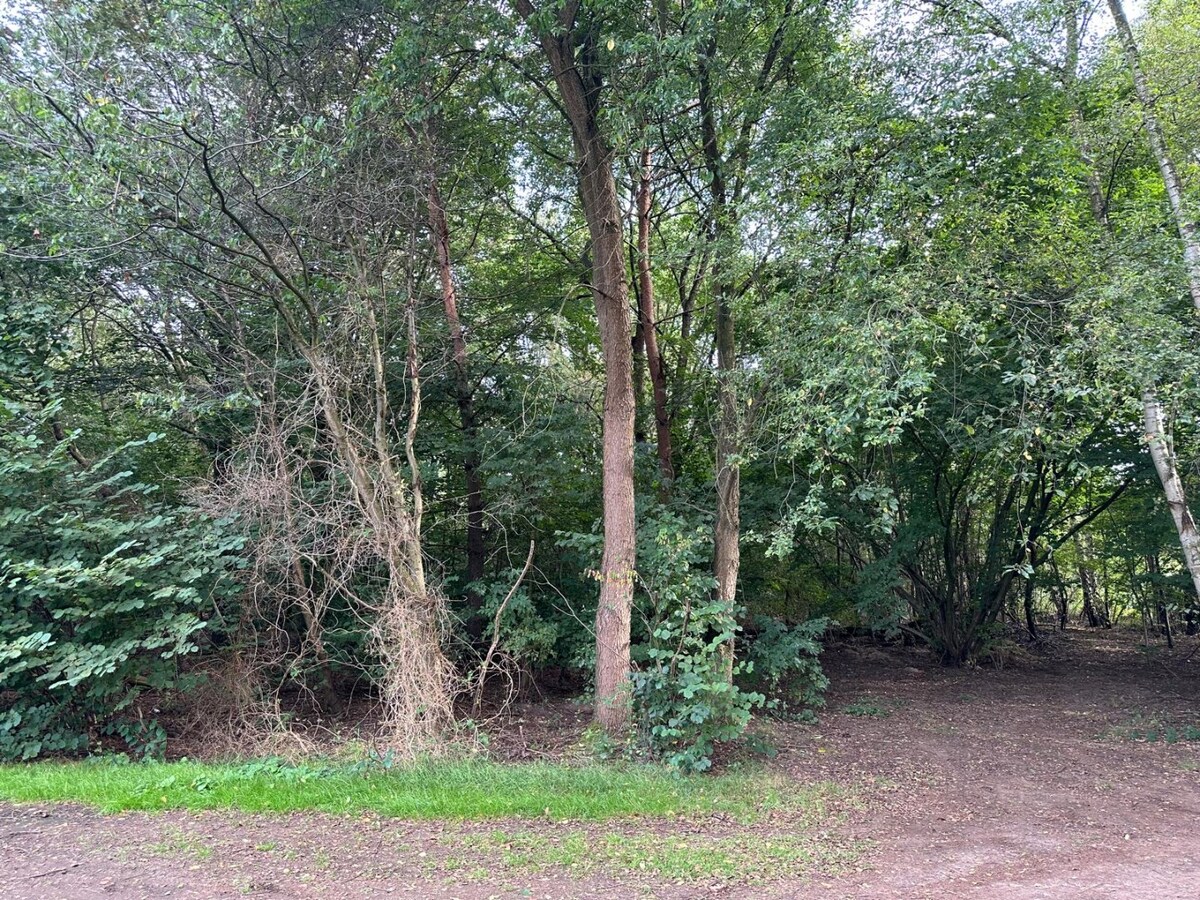 Perceel bosgrond van 38 are gelegen in gebied voor dagrecreatie 