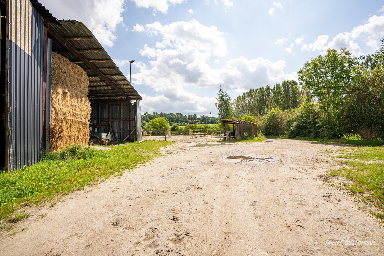 Propriété équestre avec maison à rénover à ca. 90a à Wonck (Bassenge). 