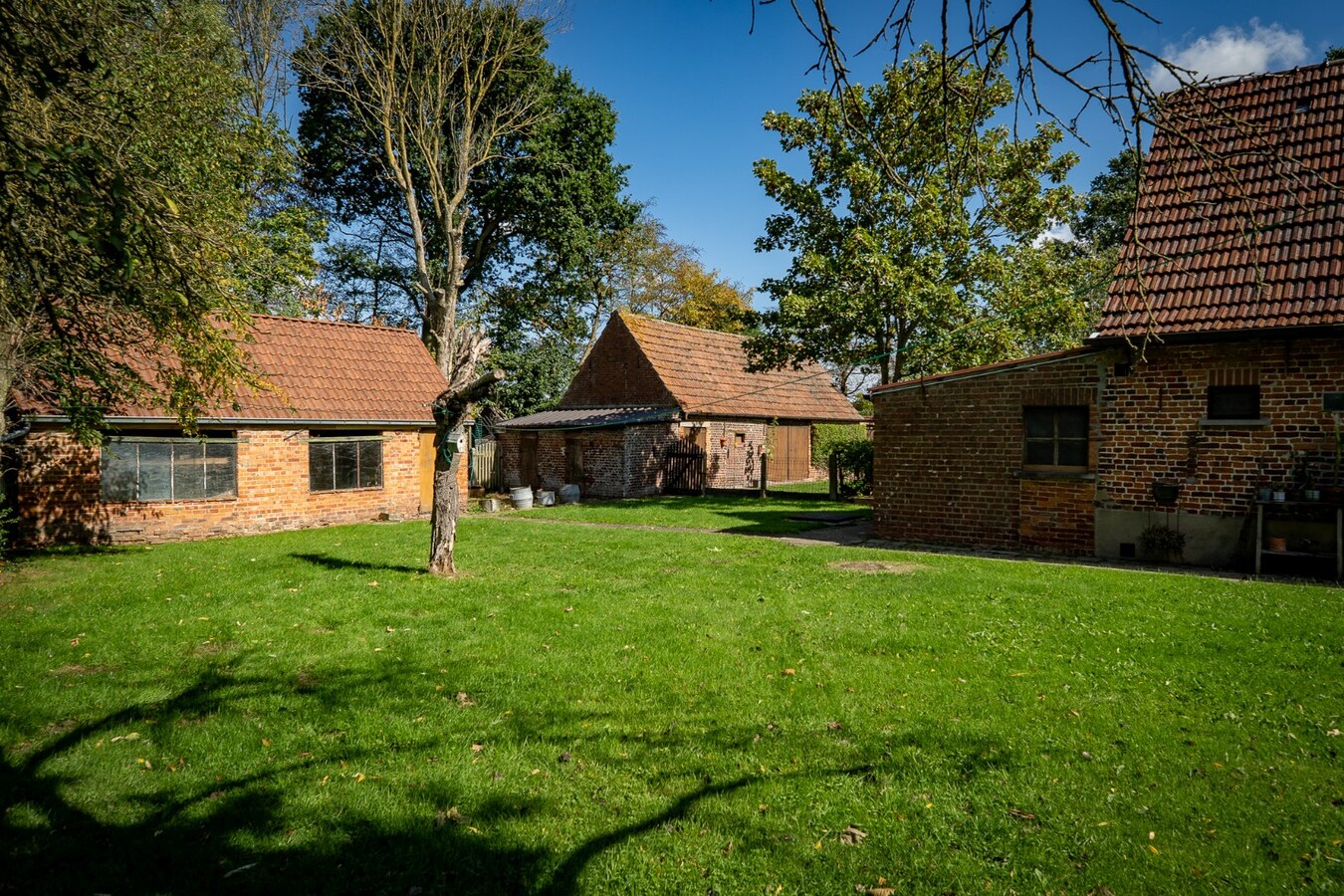 Renovated farmhouse with pasture on approximately 2 hectares in Veldegem. 