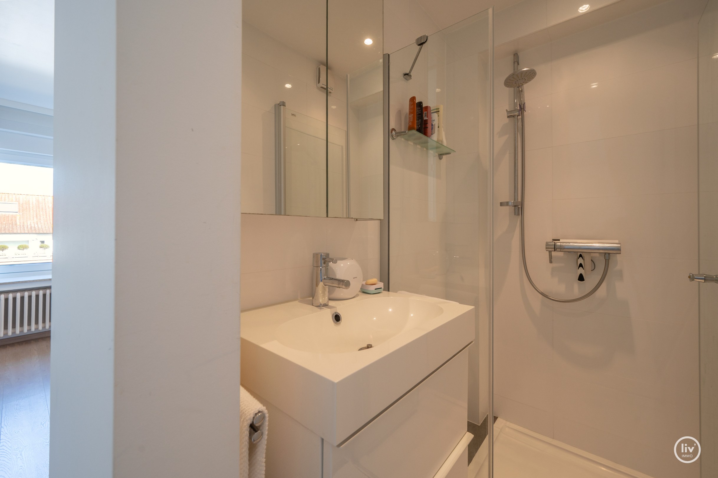 Lichtrijk dakappartement op wandelafstand van de zeedijk-Albertstrand met mogelijkheid tot aankoop van een inpandige garagebox (gelijkvloers). 