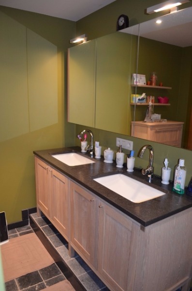 Unieke villa-landhuis op 1740m² landelijk gelegen te Eeklo 