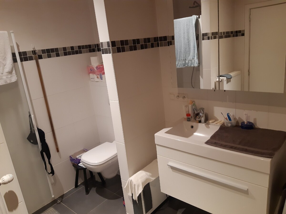 Ruim appartement met 2 terrassen. 