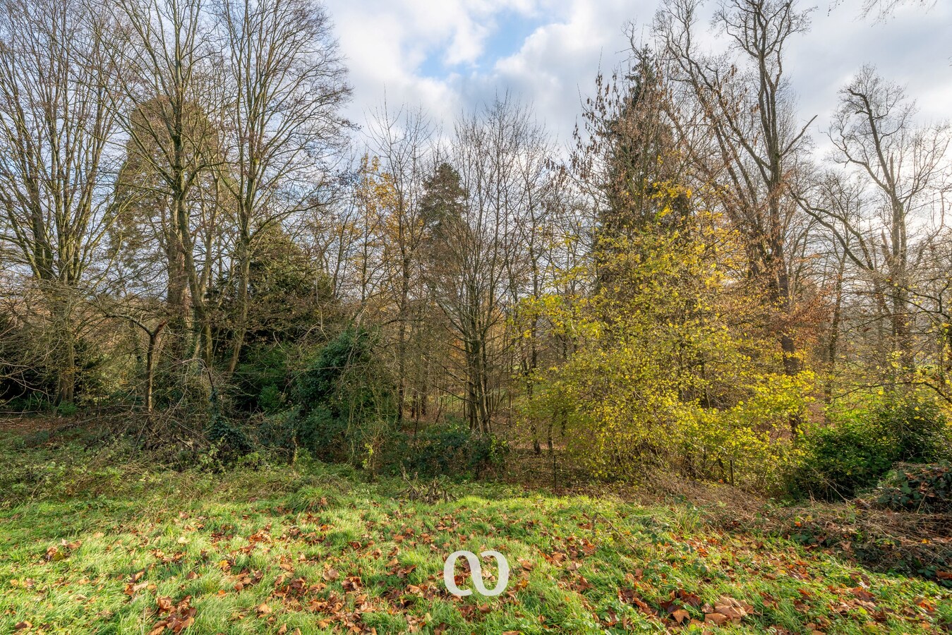 Te renoveren hoeve op sublieme ligging 