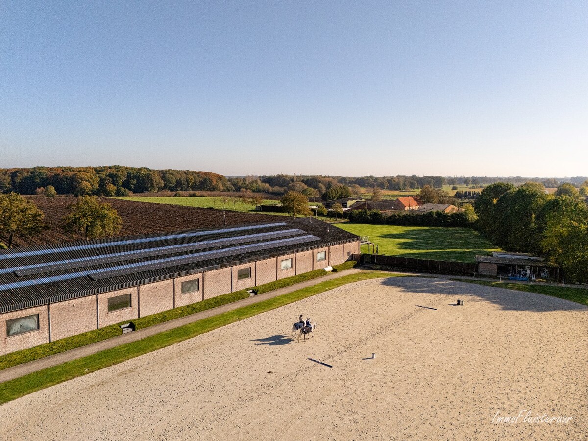 Volledig uitgeruste paardenaccommodatie op ca. 4,2 ha nabij Herentals 