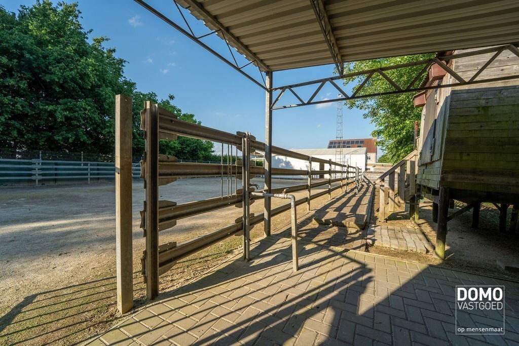 Ruime villa met paardenaccommodatie en wedstrijdstal gelegen te Herk-de-Stad - EPC-label: B - Bewoonbare vloeroppervlakte: 296m² 