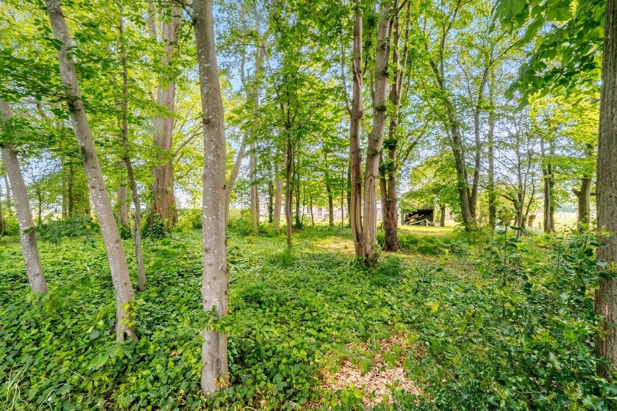 Alleenstaande topper met 3 slaapkamers nabij het Arboretum van Koekelare 
