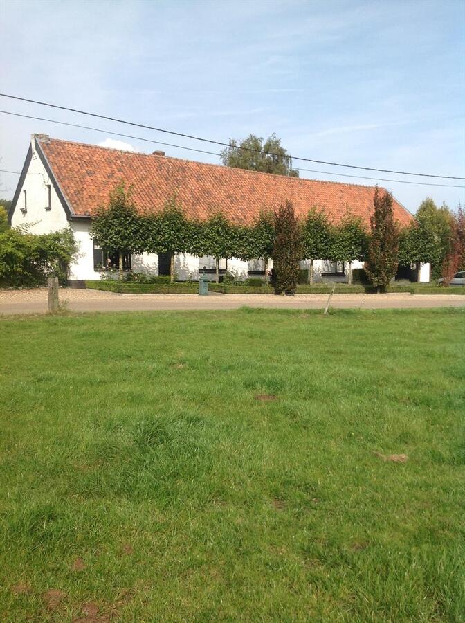 Verkocht boerderij - Kinrooi