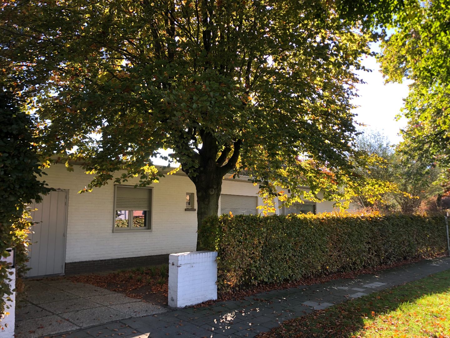 Vernieuwde ruime gezinswoning 