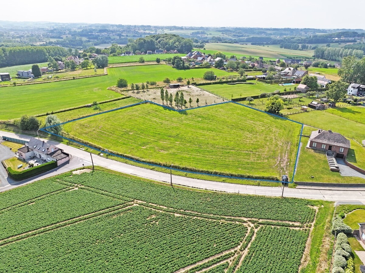 Bouwgrond voor open bebouwing op +/- 8 are te Zottegem 