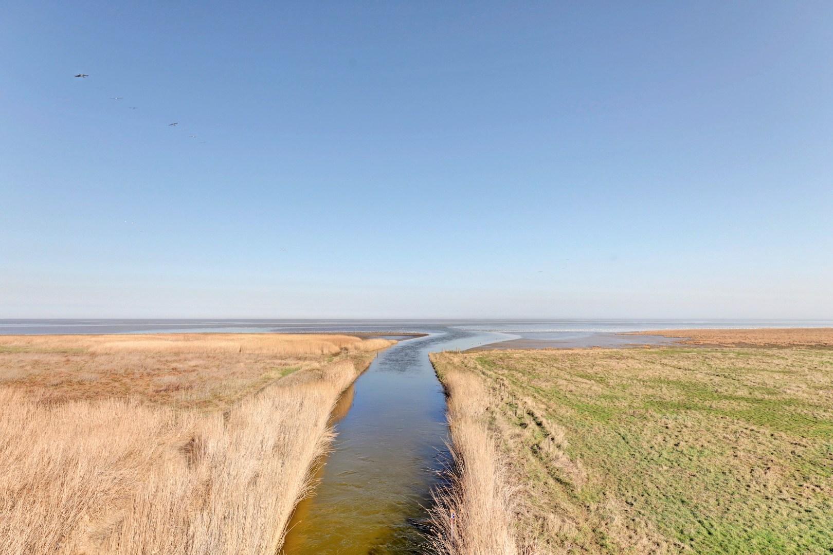 Wonen op Zwarte Haan – karakter, rust en ruimte 