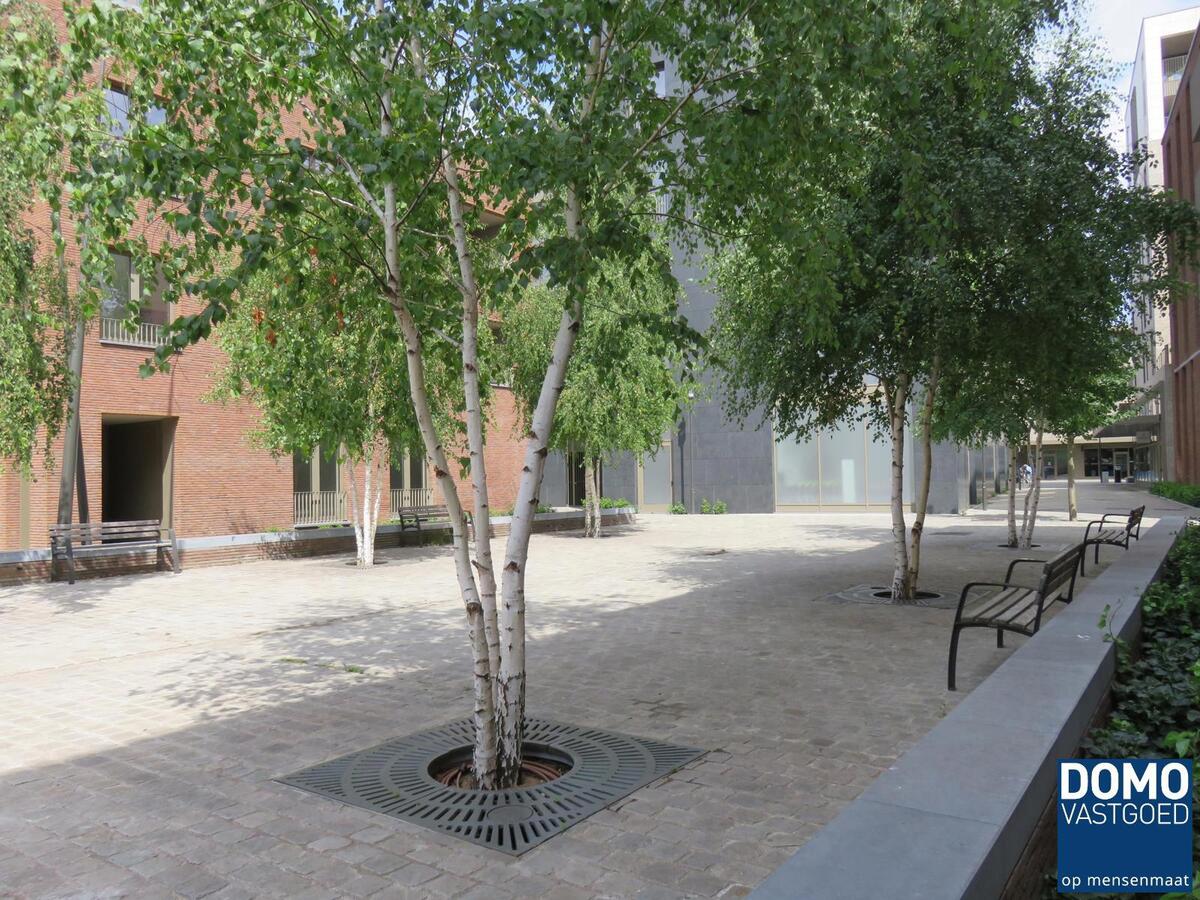 Appartement verhuurd in Hasselt