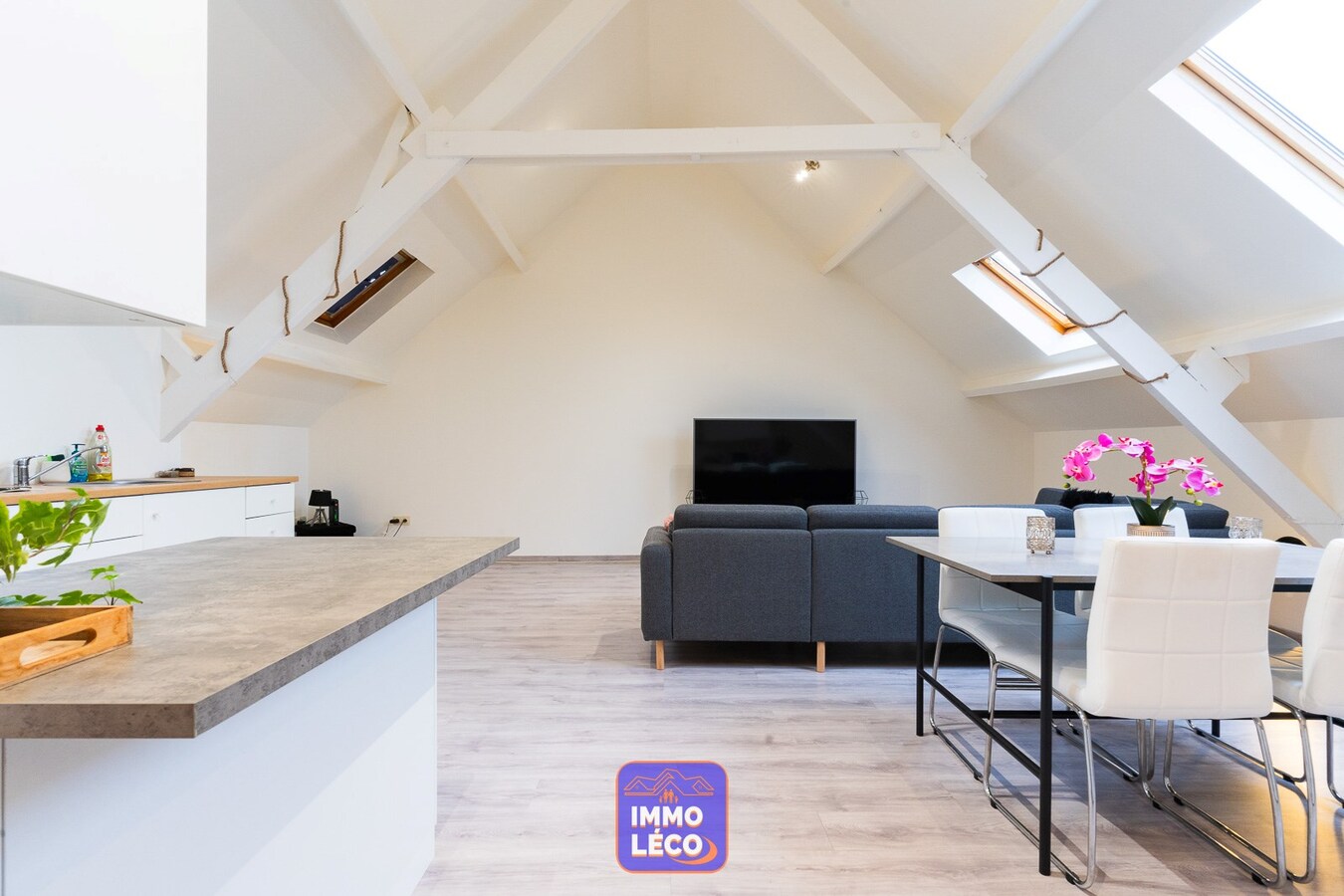 Appartement rénové, dans le centre, IDEAL investisseurs ! 