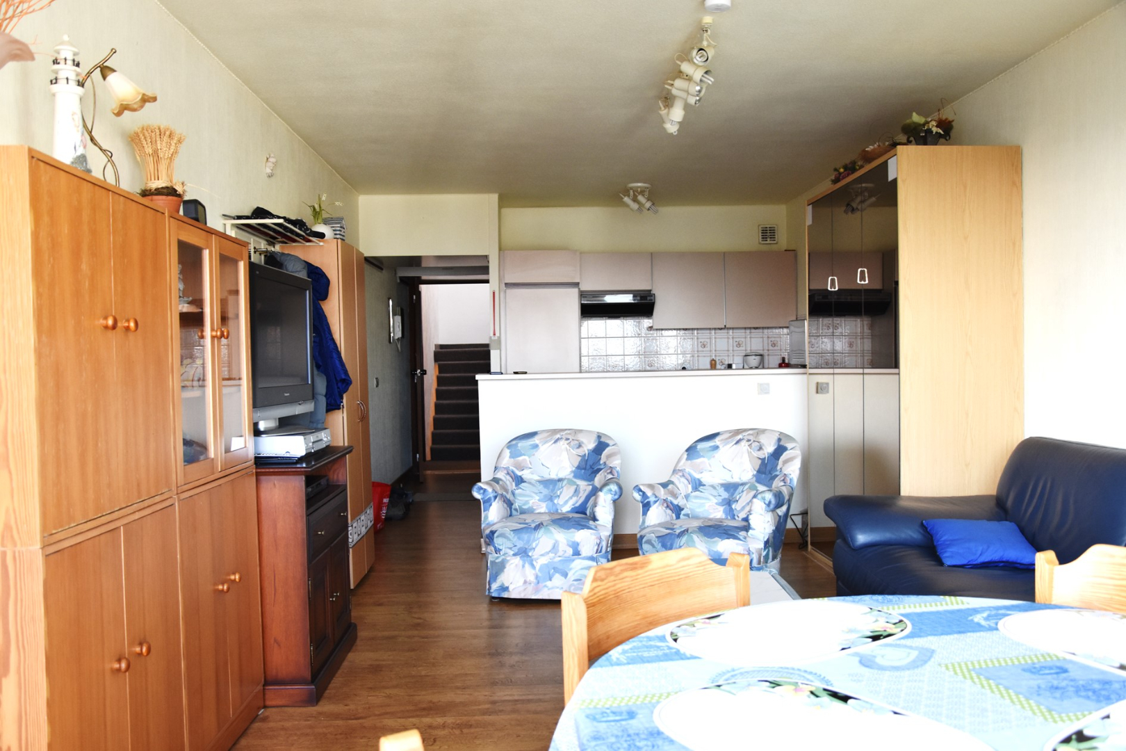 ruime studio met zicht op hinterland 