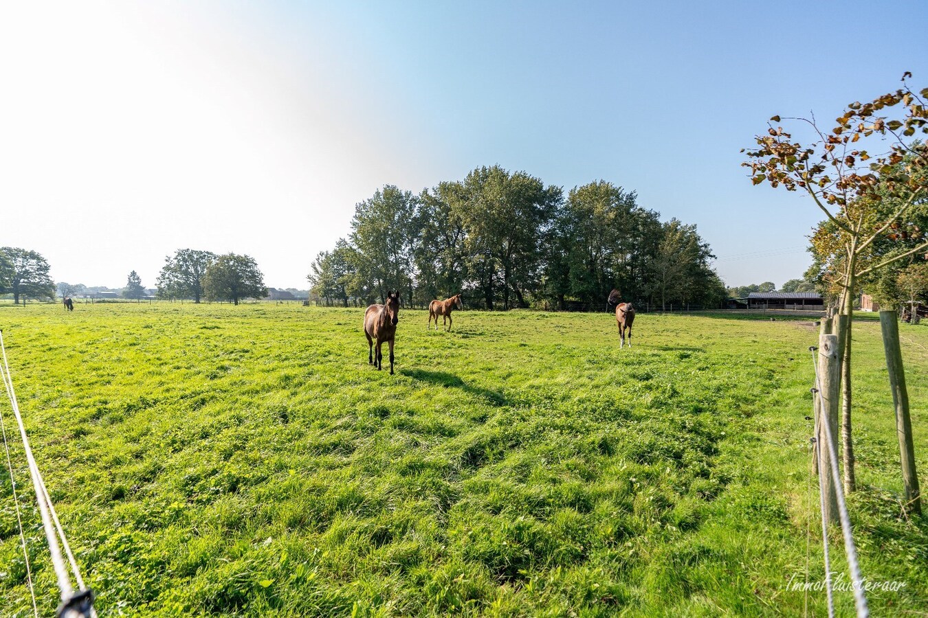 BEZOEKDAG OP ZATERDAG 7/03 Charmante hoeve met stallen op ca. 8.191 m2  te Heist-op-den-Berg (Mogelijkheid tot aankoop extra ca. 2,7 ha weiland) 