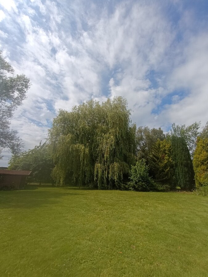 Exceptionnel, les Collines, propriété sur 8900m². 