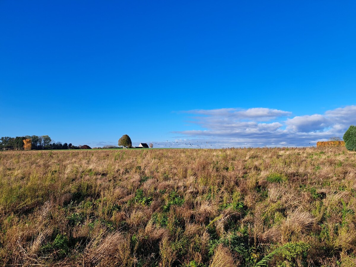 60 métres de front à rue pour ce terrain exceptionnel . 