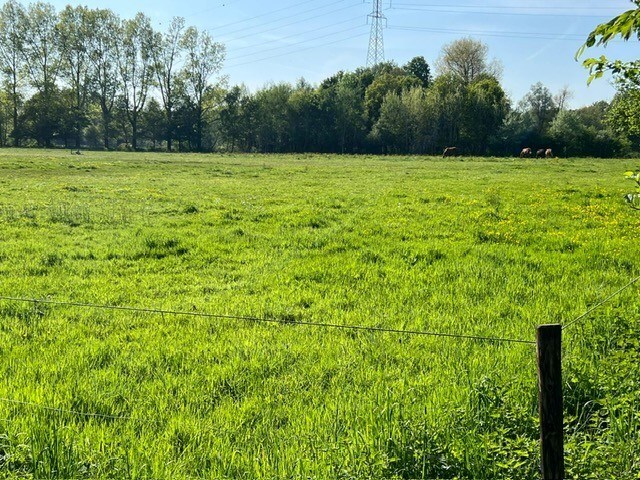 Prachtig weiland van ca. 2,5 ha te Zandhoven 
