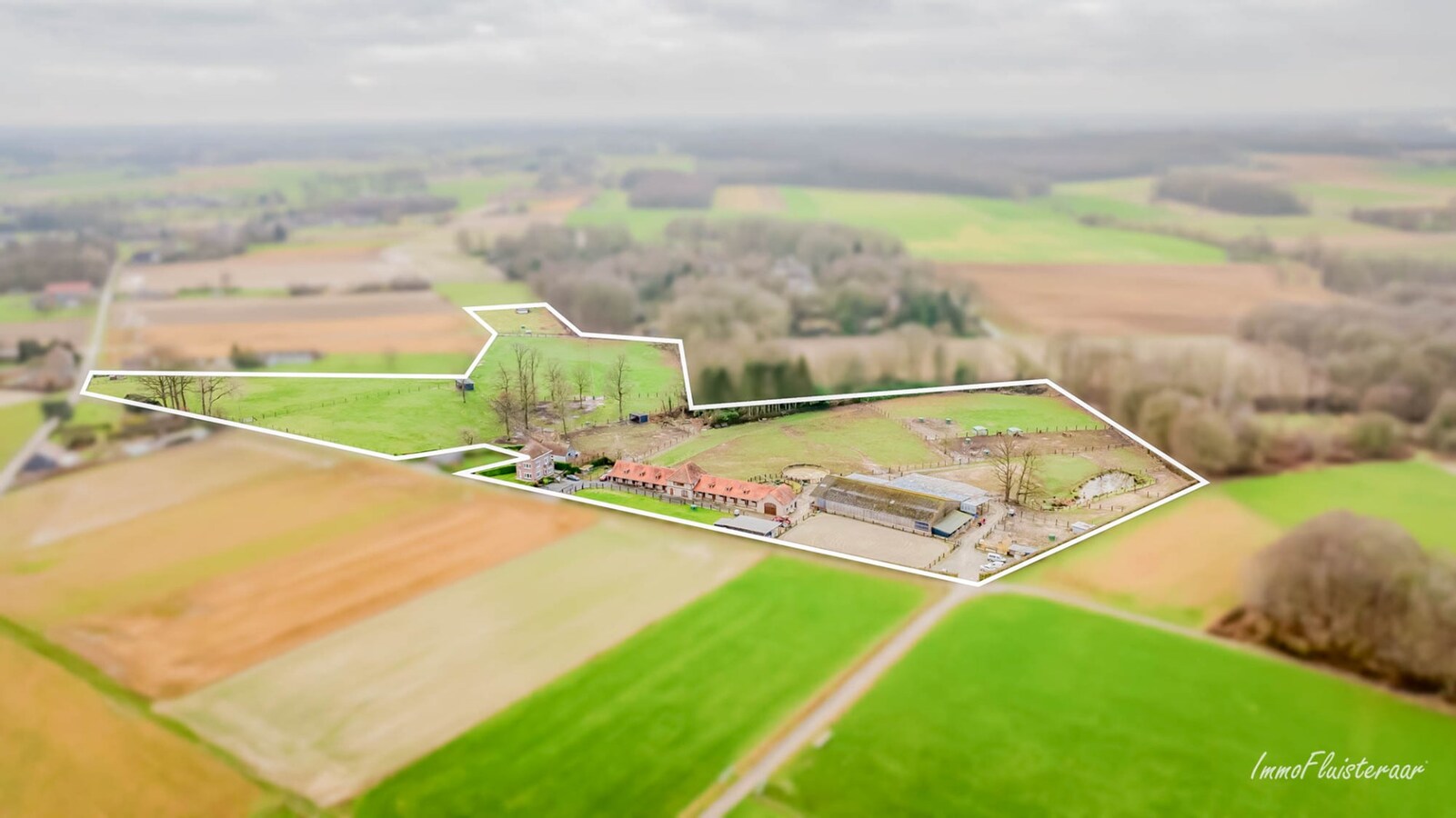 Magnifique complexe équestre avec maison d'entreprise, environ 33 écuries et une piste intérieure sur plus de 5,6 hectares à Bever (Brabant flamand). 