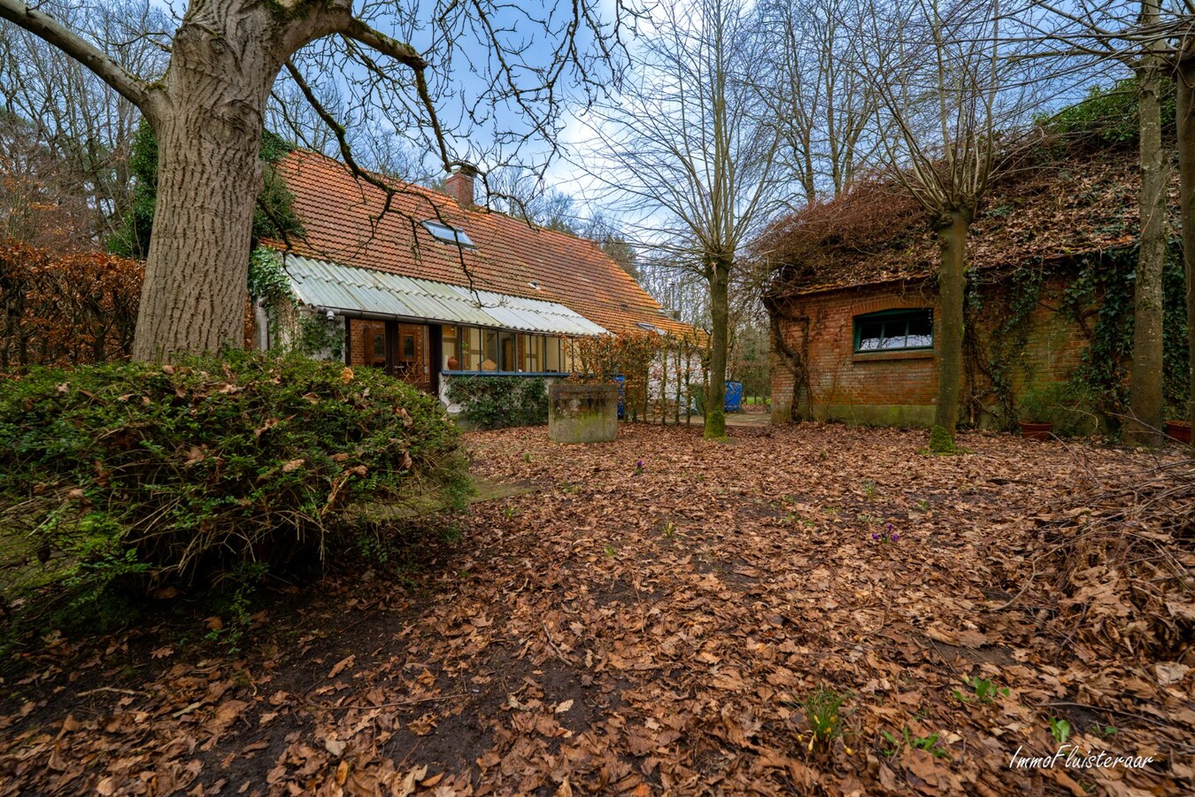 Charmante woning op ca. 1.800 m2 te Zandhoven 