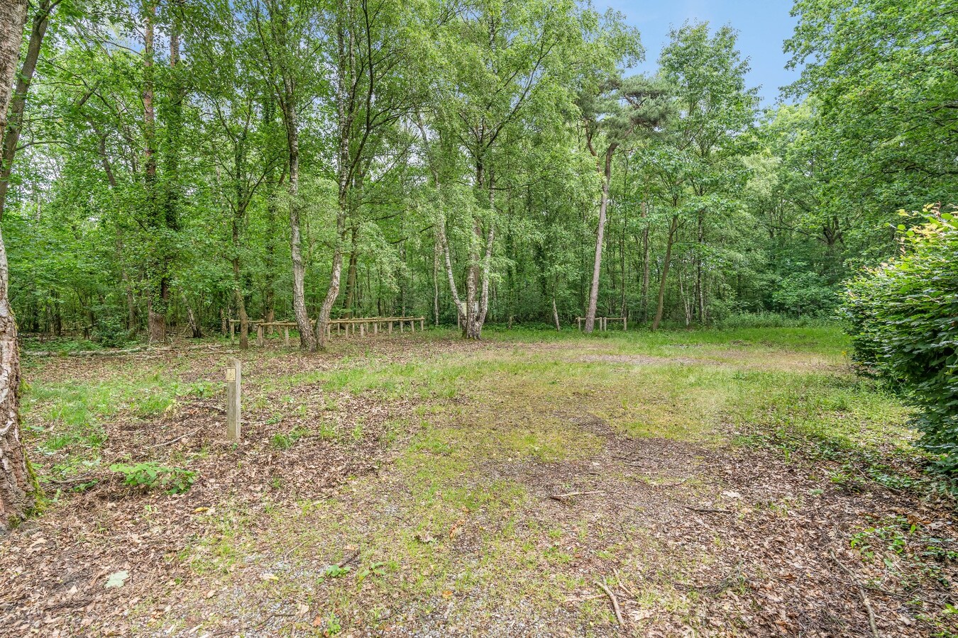Authentiek horecapandje ideaal voor een healthy coffee-, lifestyle- en natuurconcept in het Dilserbos-Sparrendal. 