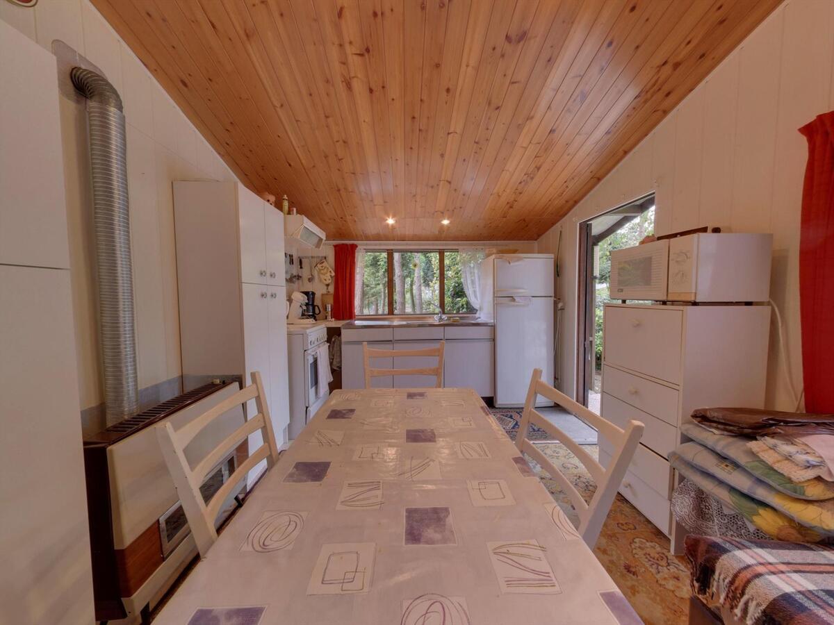 Prachtig stuk bosgrond 