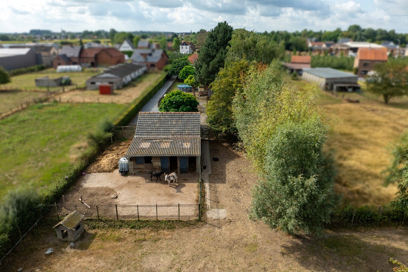 Quietly located house with a meadow of approximately 55 acres in Herk-de-Stad 