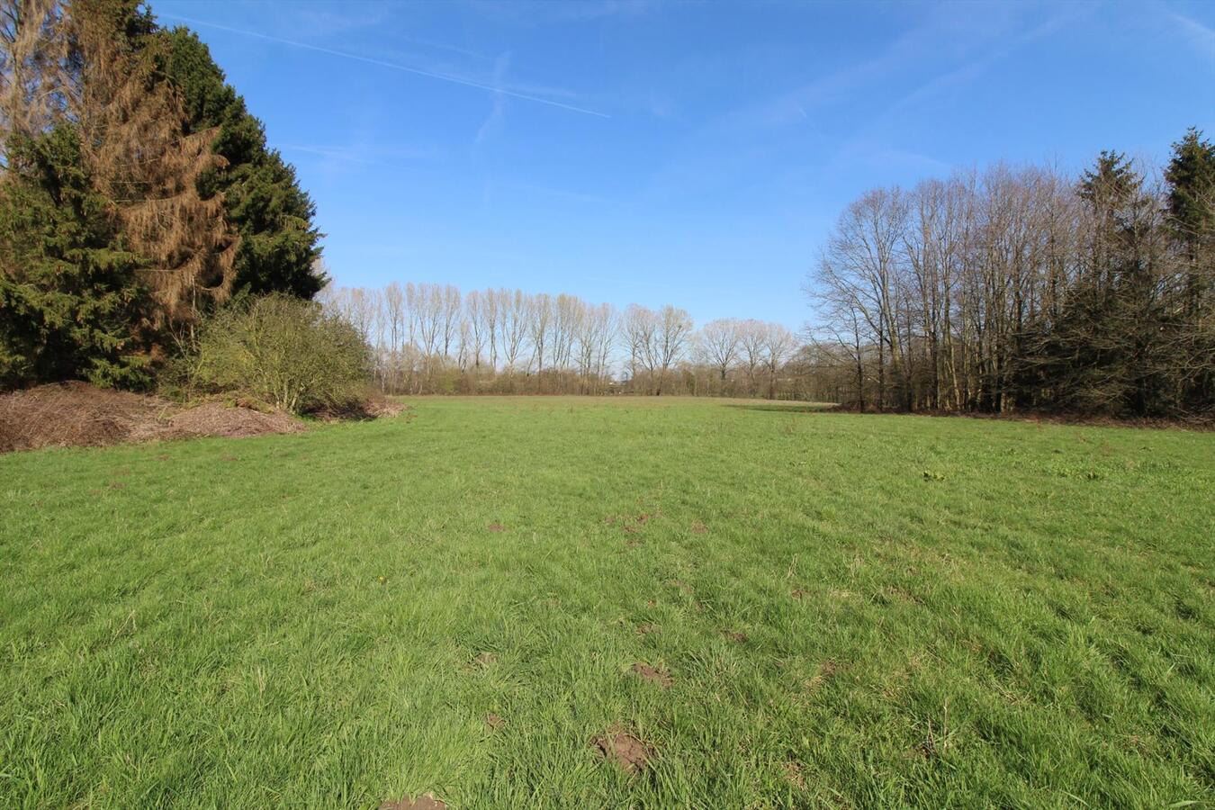 EN OPTION - Maison à rénover dans un cadre rural avec annexes et prairies sur environ 6.7ha à Nivelles (Brabant Wallon) 