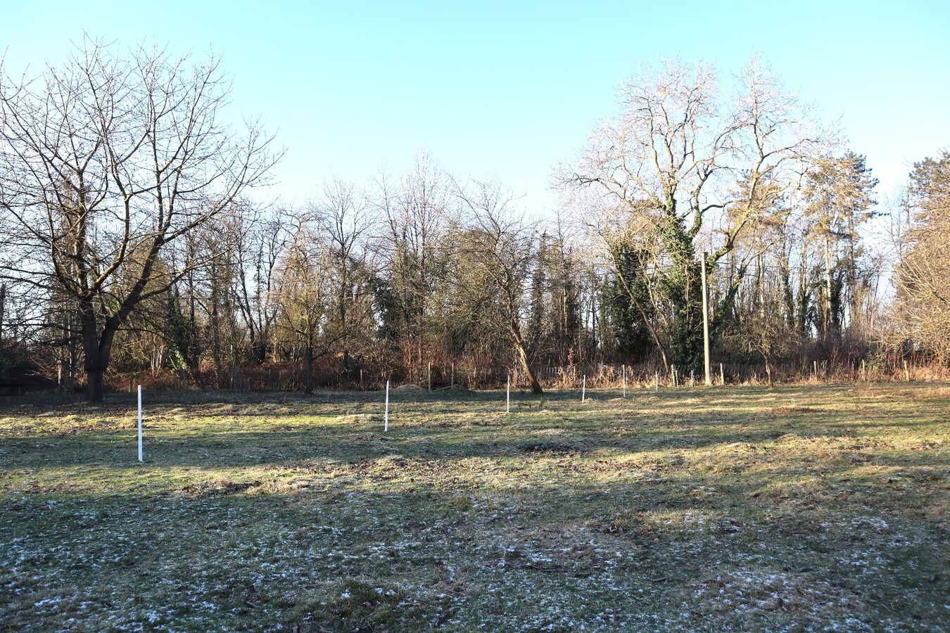 Prachtig gelegen bouwgrond te Bierbeek voor open bebouwing 9 are 45 ca 