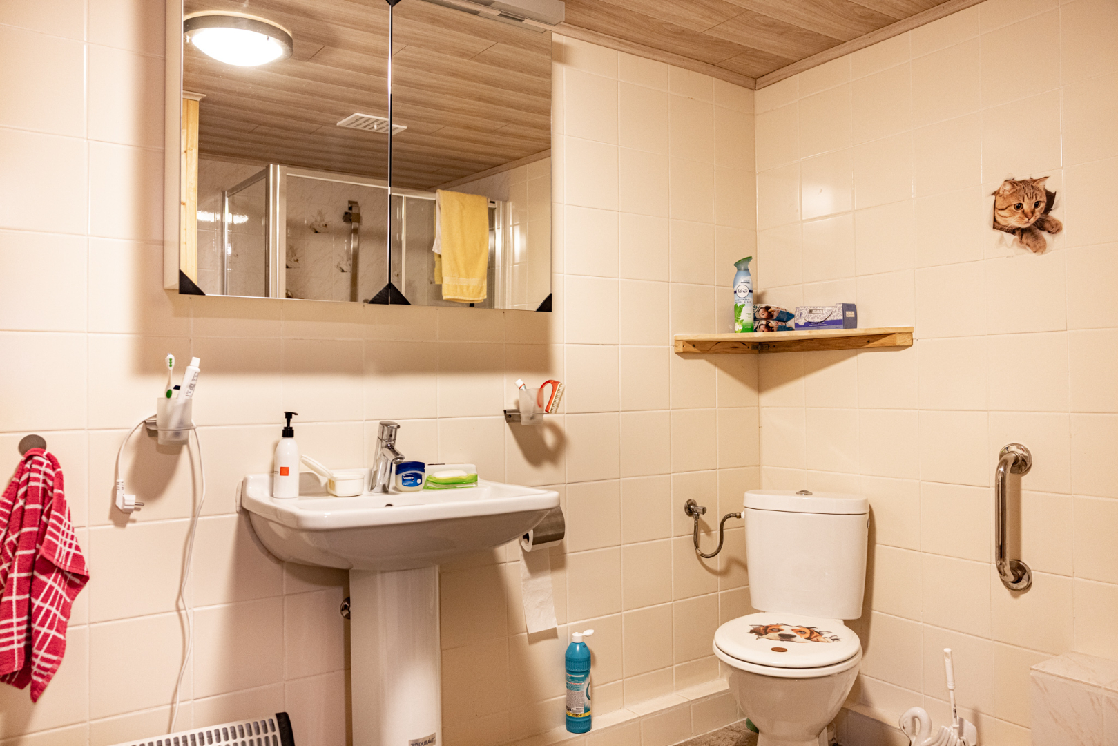 Gerenoveerde woning met 3 slpks, tuin en zicht op de weilanden 