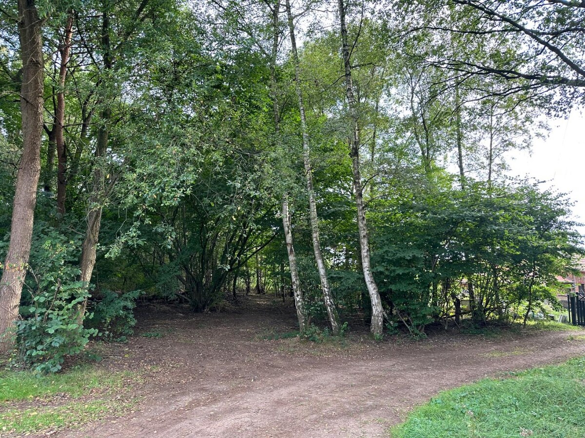 Perceel bosgrond van 38 are gelegen in gebied voor dagrecreatie 