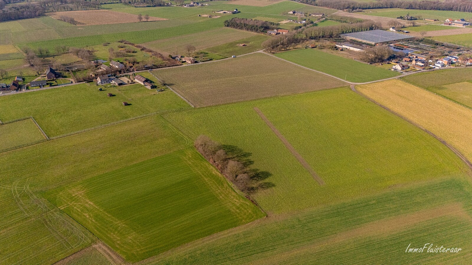 Woning met paardenstallen en buitenpiste op ca. 6,5ha te Bree 