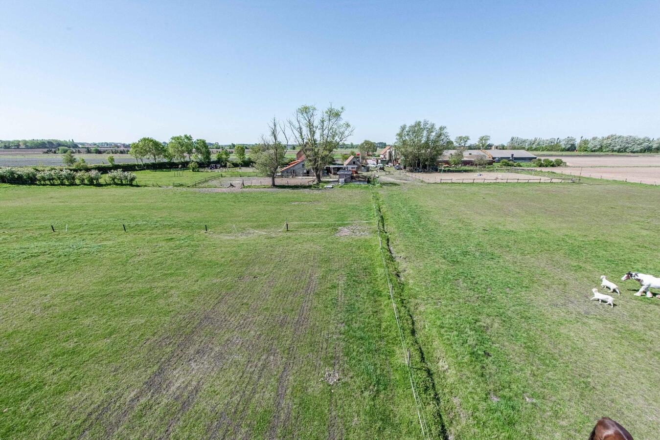 Alleenstaand landhuis met stallen op 2,2 HA te Eernegem 