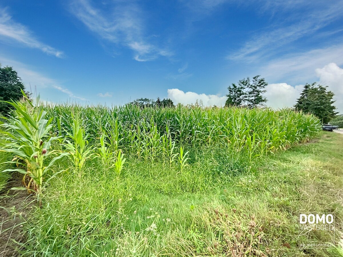 Gunstig gelegen perceel WEILAND te Halen. 