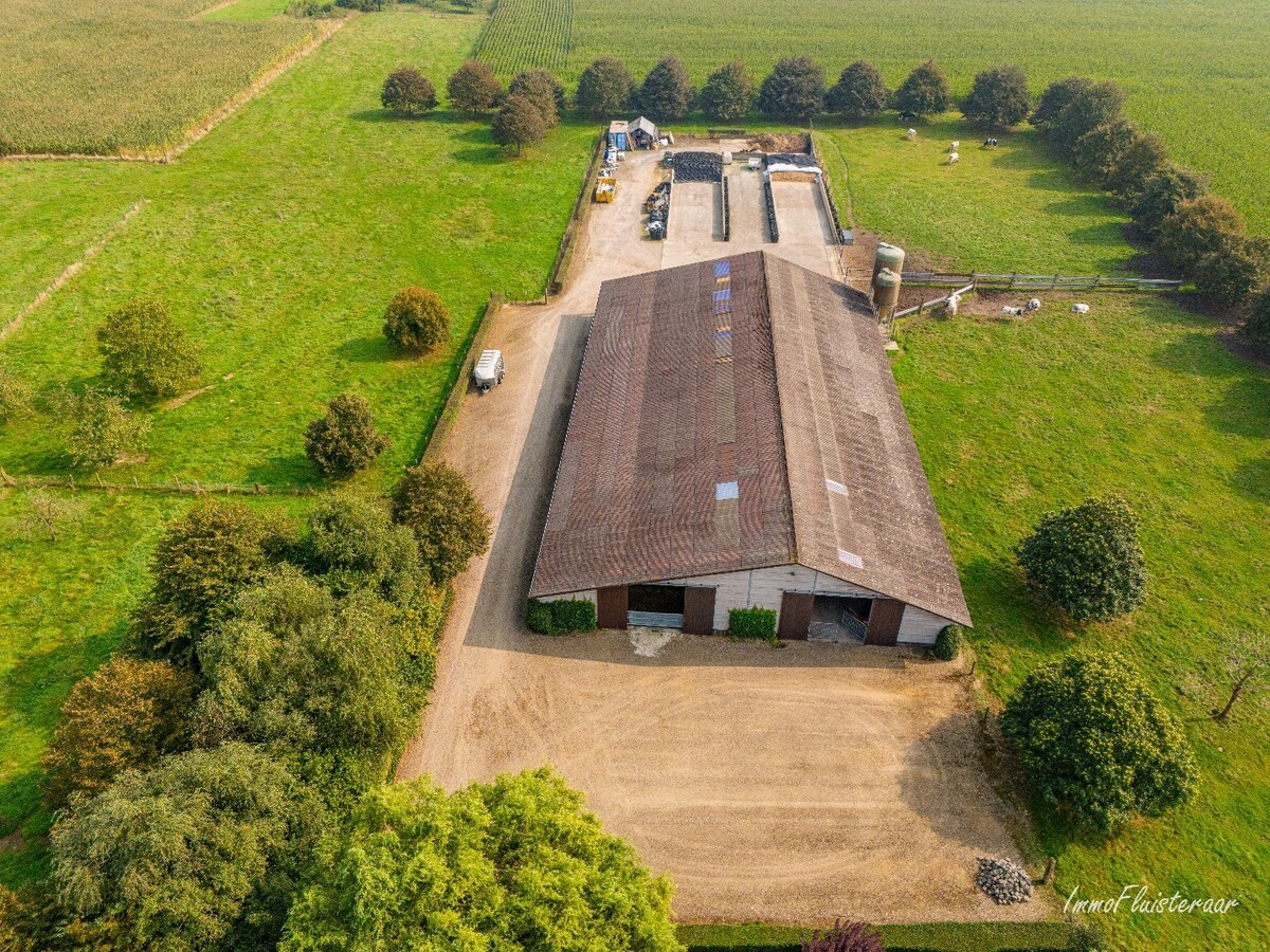 Prachtige villa met een ruim stalgebouw op ca. 2,2 ha te Dilsen-Stokkem 