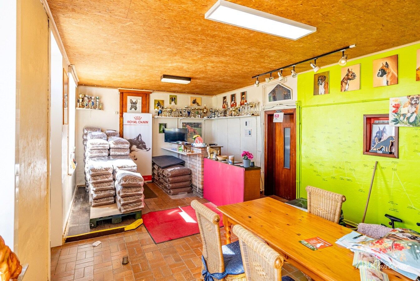 Magnifique domaine avec une villa neuve et un chenil et une pension pour chats agréés à Diksmuide 