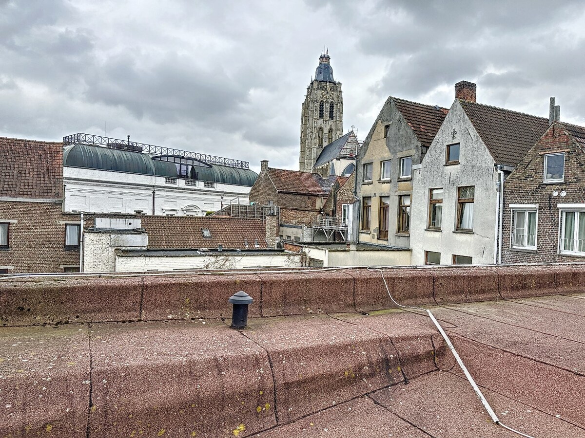 Karaktervol renovatiepand op centrale ligging te Oudenaarde 