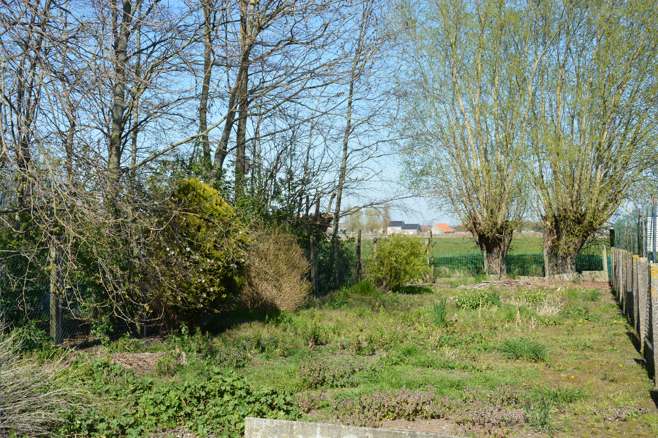 Toffe, op te knappen woning met grote tuin 