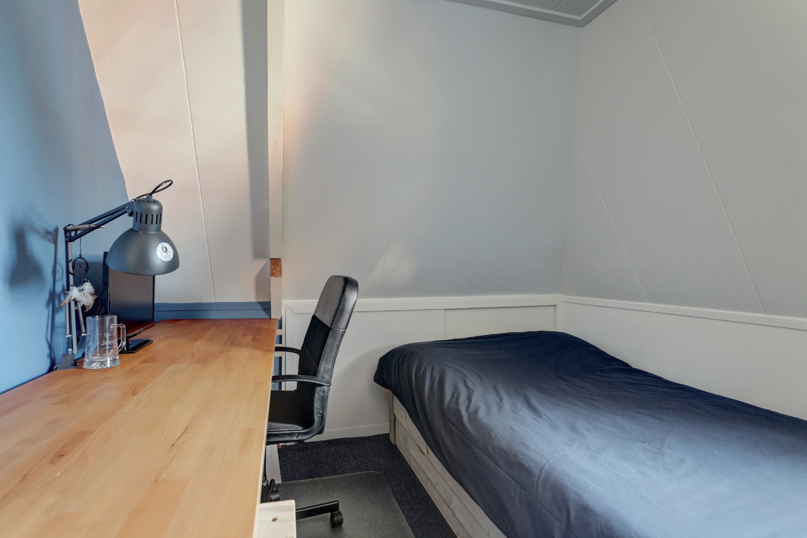 Vrijstaande woning met diepe zonnige tuin, overkapping en royale bijgebouwen 