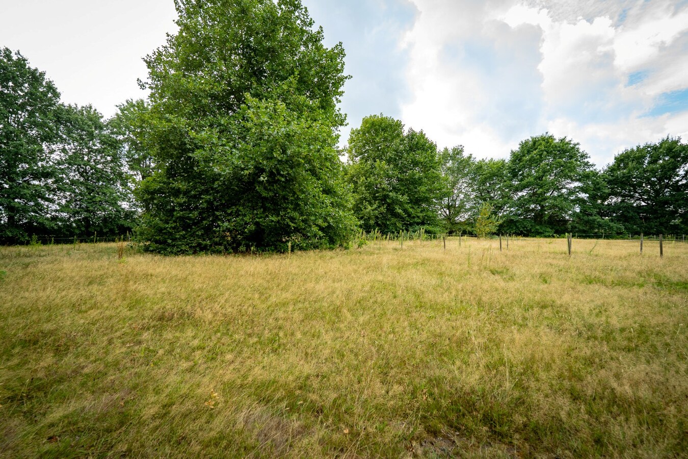 Karaktervolle hoeve met weides op ca. 2ha te Herk-de-Stad 